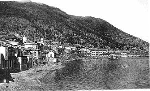 ROSSEVILLE A ST ANDRE  (20)